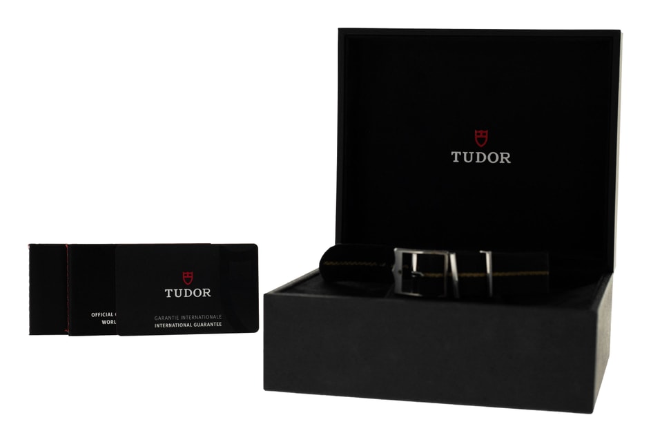 Tudor Black Bay 58 M79030N-0001 Image 4
